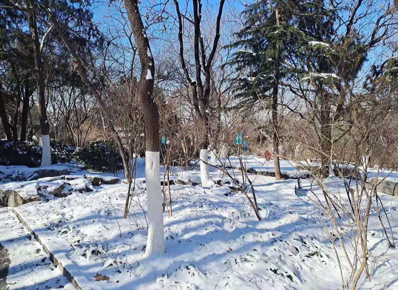 1724368705161103.jpg bfdzfv.jpg