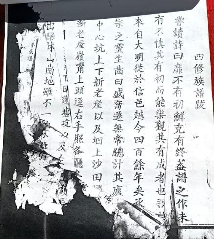 1761546418532063.png 11.png