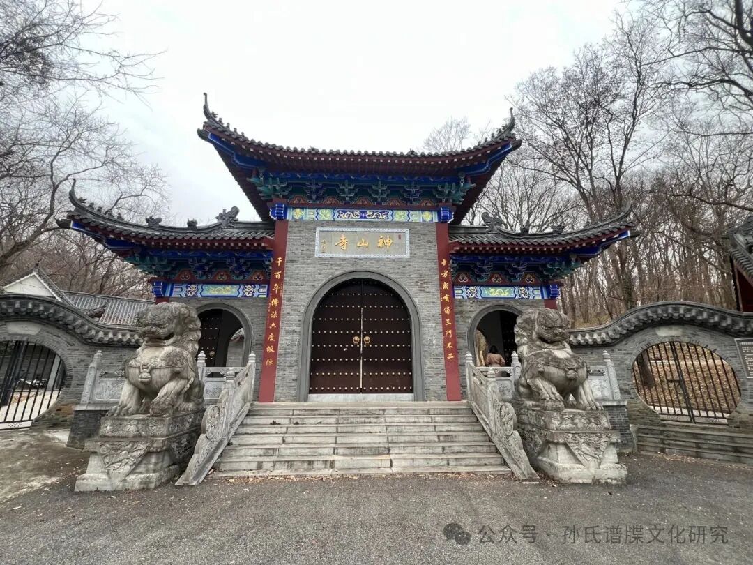 1766538193170570.jpg 9.jpg